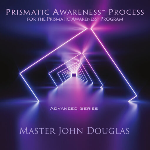 Prismatic Awareness Process
