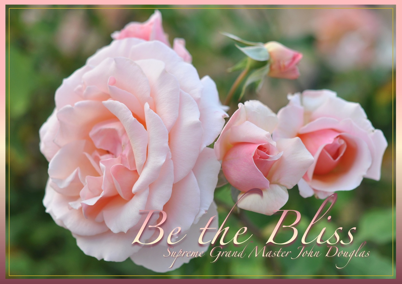 Be the Bliss flowers